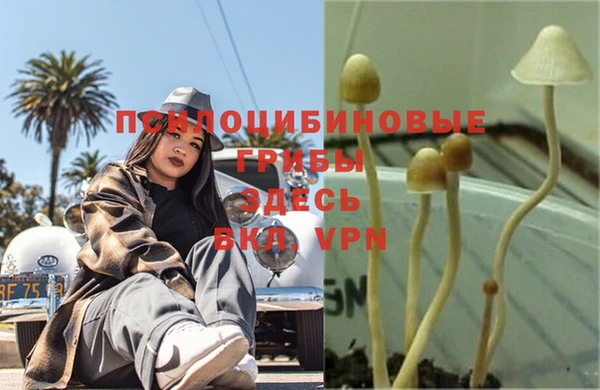 кокаин перу Козловка