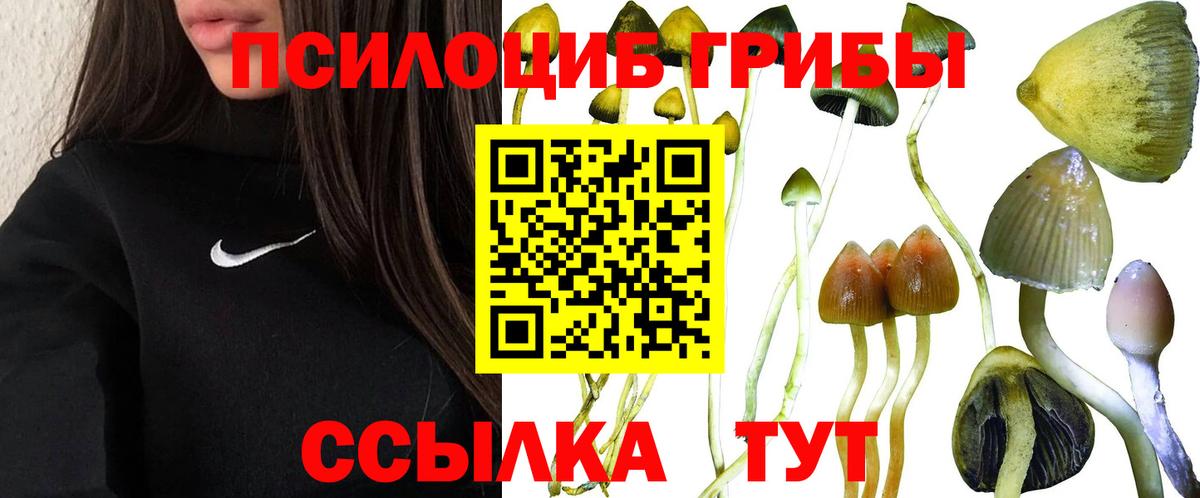 Галлюциногенные грибы MAGIC MUSHROOMS  Вход с VPN  Псилоцибиновые грибы мухоморы  Лысьва 